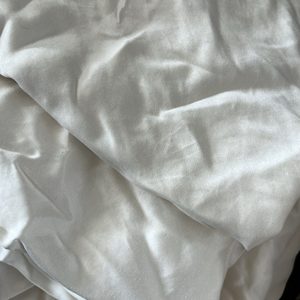 Restoration Hardware Queen silk flat sheet and one pillow case